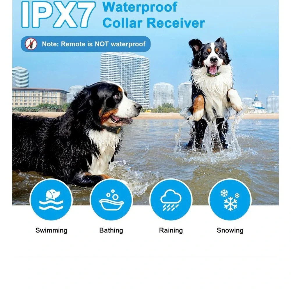 Casfuy 1000-ft Remote Rechargeable Waterproof Dog Training Collar‎ 2 Count
